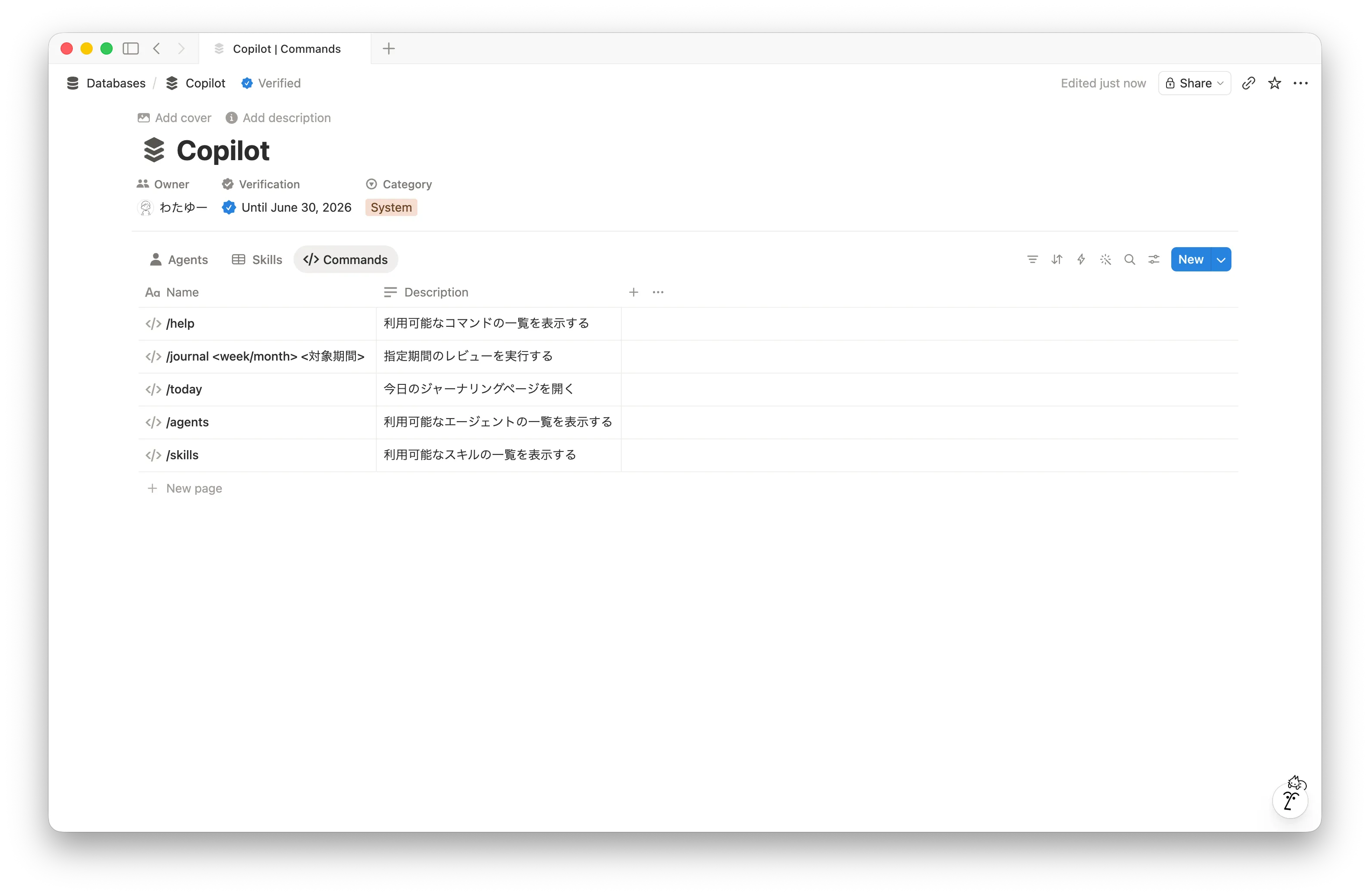 Notion Copilot Command